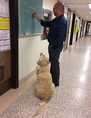 Student of the Month